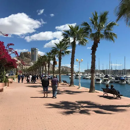 Marina - Center